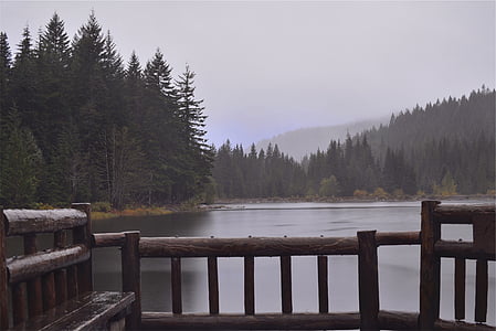 gray wooden viewing deck beside lake surrounded by pine trees thumbnail