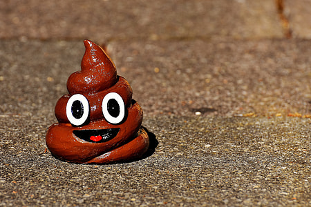 brown poop emoji figurine on brown surface thumbnail