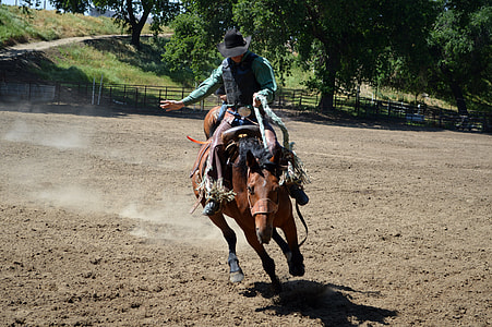 Cowboy on horse at Rodeo thumbnail