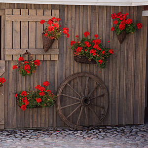 photo of red petaled flowers hanging on pot thumbnail