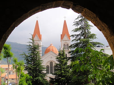 green leafed trees near white and brown concrete building thumbnail