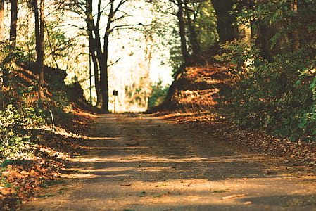 photo of brown trail thumbnail