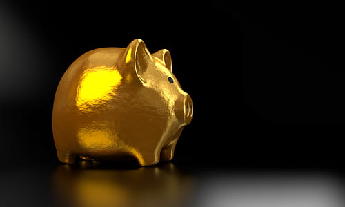 gold piggy bank thumbnail