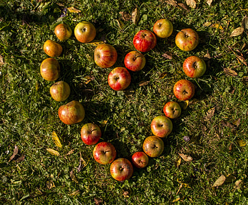 apples foring heart on grass thumbnail