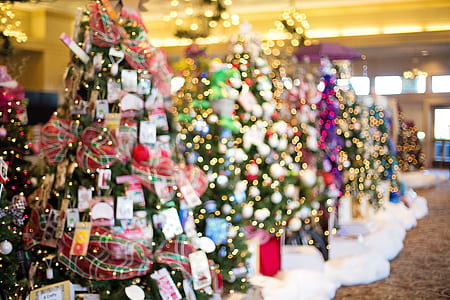 selective focus photography of green pre-lit Christmas tree thumbnail