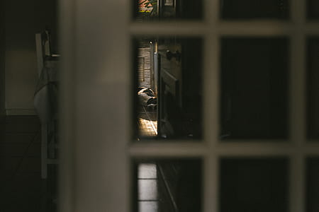 selective focus photography of open wooden door thumbnail