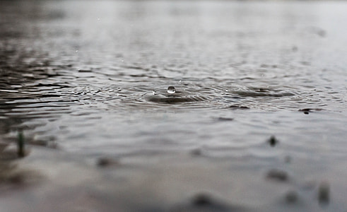 selective focus photography of water drop thumbnail