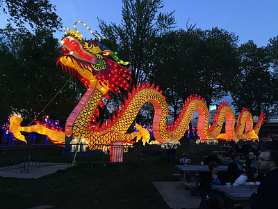 lighted sea dragon thumbnail