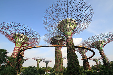 Garden by the Bay Singapore thumbnail