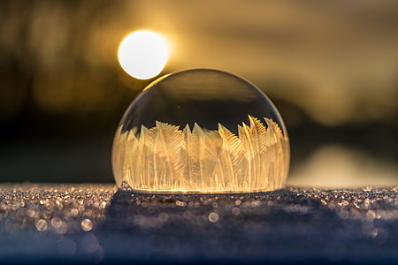 frozen bubble shallow photo graphy thumbnail