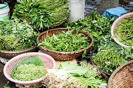 Herb bonanza thumbnail