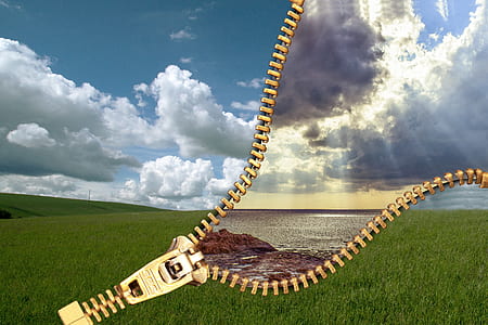 grass field and ocean illustration thumbnail