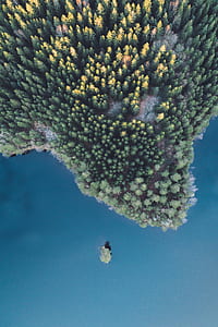 aerial photography of green leaf trees beside blue ocean thumbnail
