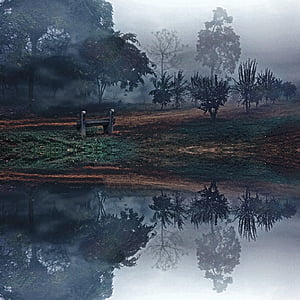 brown wooden framed painting of trees thumbnail
