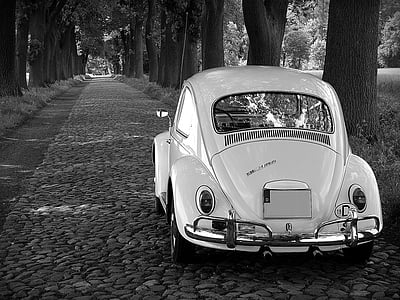 grayscale photography Volkswagen Beetle coupe parked between trees thumbnail