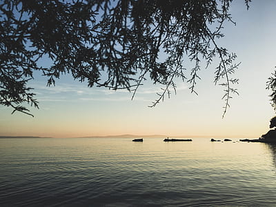 body of water near tree during golden hour thumbnail