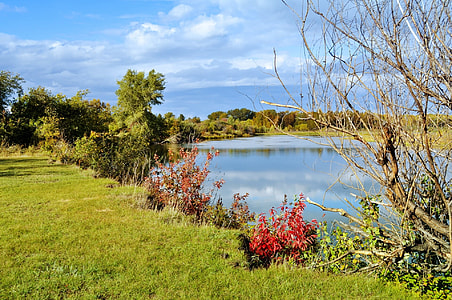 green grass field near calm body of water thumbnail