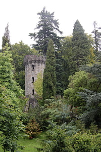 gray bricked castle tower with surrounding green trees thumbnail