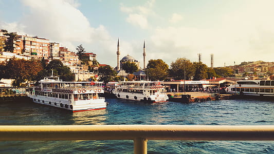 photo of docked passenger boats thumbnail