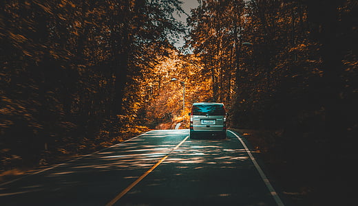 gray vehicle on road between trees thumbnail