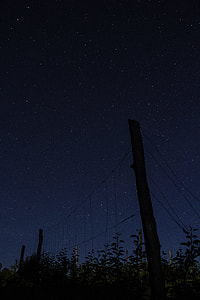 low angle photography of fence during nighttime thumbnail