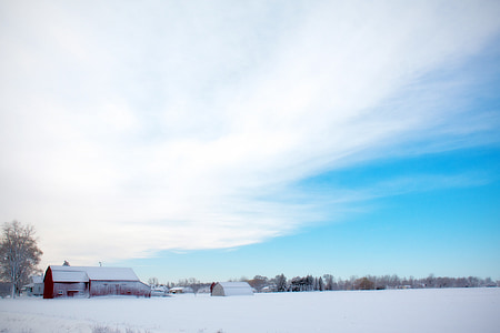 photo of white barn covered by snow thumbnail