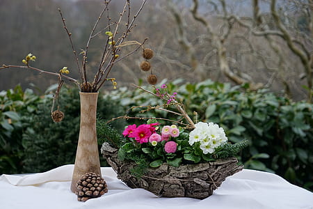 white and pink flowers in gray flowerpot during daytime thumbnail
