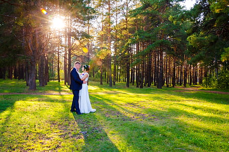 prenuptial photograph of couple on green grass field in-front of pine trees thumbnail