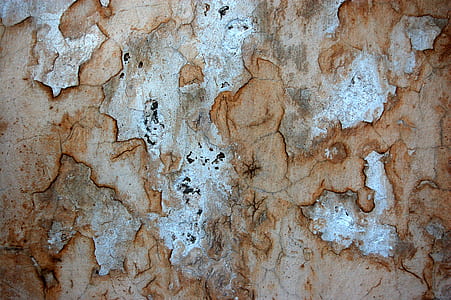 wood, pattern, greece, santorini thumbnail