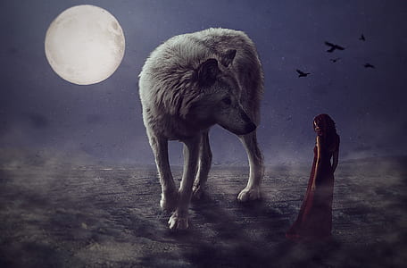 woman beside a gray wolf during nighttime thumbnail