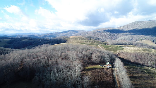 aerial view of green field thumbnail