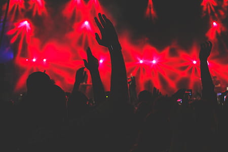 Crowd At Concert thumbnail