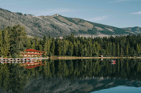 red and brown house near pine trees and mountain during daytime thumbnail