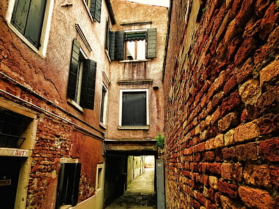 architectural photography of brown brick wall thumbnail