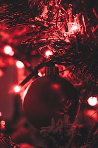 Red Bauble Attached on a Pre-lit Tree thumbnail