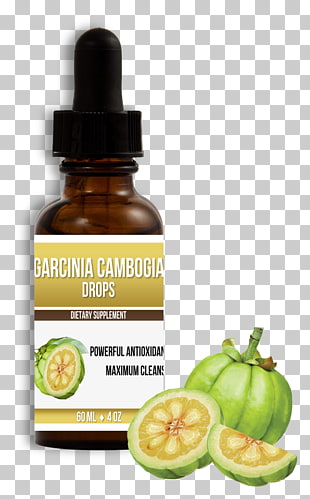 asam keping garcinia cambogia asam keping garcinia cambogia