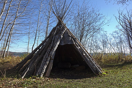 hut made of woods thumbnail