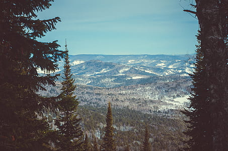 Mountains With Green Trees Under Blue Sky thumbnail