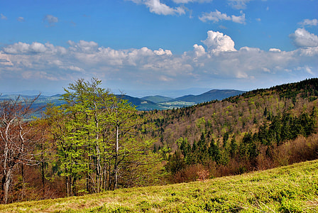 mountain range under clear blue sky thumbnail