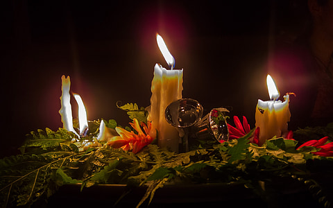 white candles on green leaves thumbnail