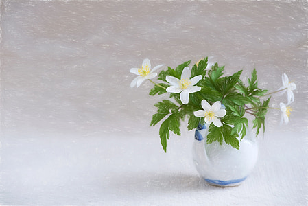 white flowers and green leaves on clear glass vase thumbnail
