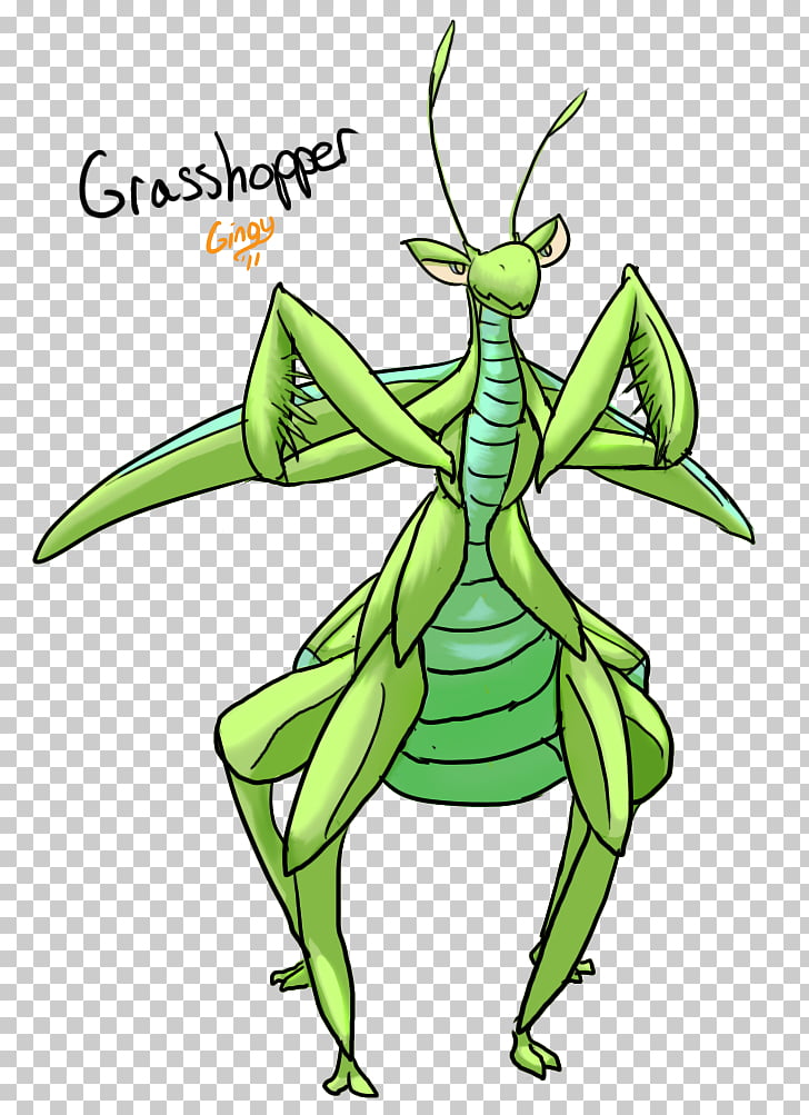 Insect Invertebrate Cartoon Grasshopper Png Clipart Free Cliparts Uihere