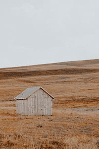grey wooden shack thumbnail