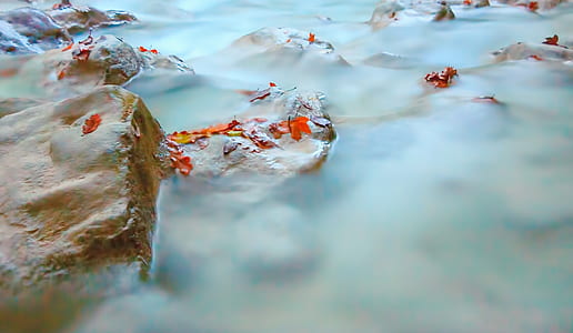 grey rock thumbnail