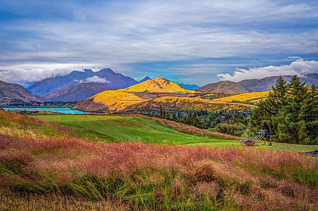 landscape photography of grass field during daytime thumbnail