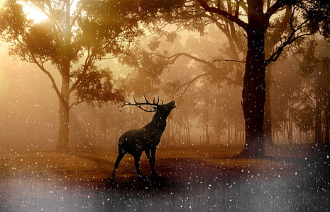 brown moose under trees wallpaper thumbnail