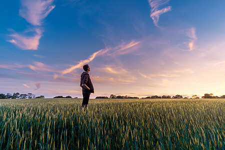man standing in the middle of green grass field thumbnail