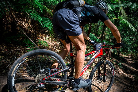 man biking on forest trial thumbnail