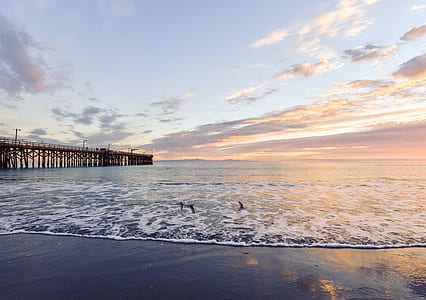 beach during sunset thumbnail