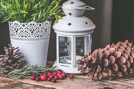 Candle Lantern Beside Pine C One and Green Leaf Plant thumbnail